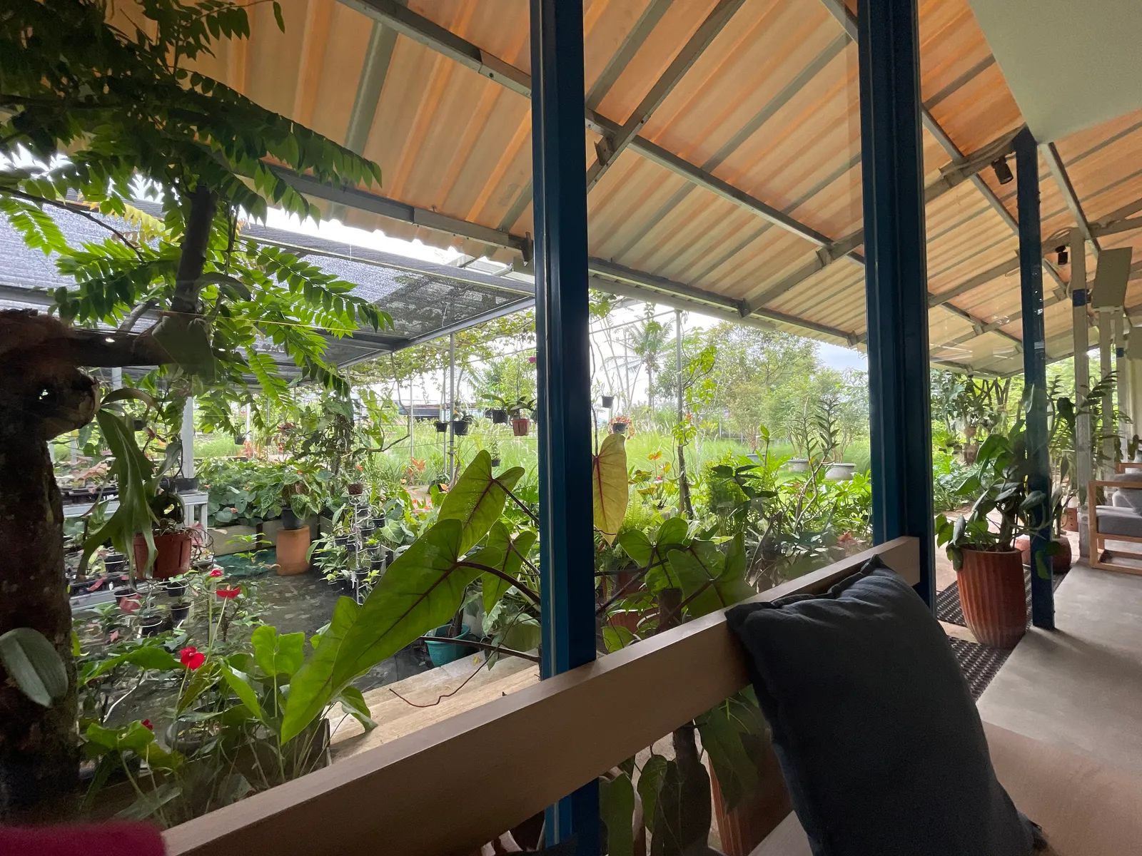 Uja Coffee & Plant photo 2